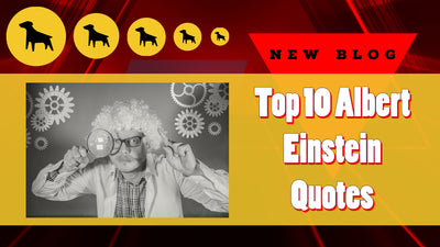 Top 10 Albert Einstein Quotes | Change Your Life in 2022