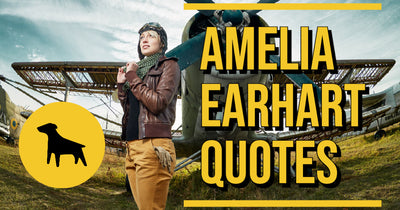 Amelia Earhart Quotes | The Quote Dog