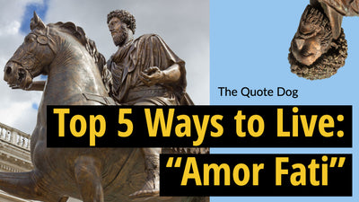 Top 5 Ways to Live: "Amor Fati" | The Quote Dog